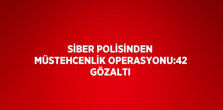 SİBER POLİSİNDEN MÜSTEHCENLİK OPERASYONU:42 GÖZALTI