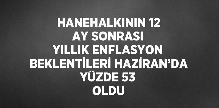 HANEHALKININ 12 AY SONRASI YILLIK ENFLASYON BEKLENTİLERİ HAZİRAN’DA YÜZDE 53 OLDU