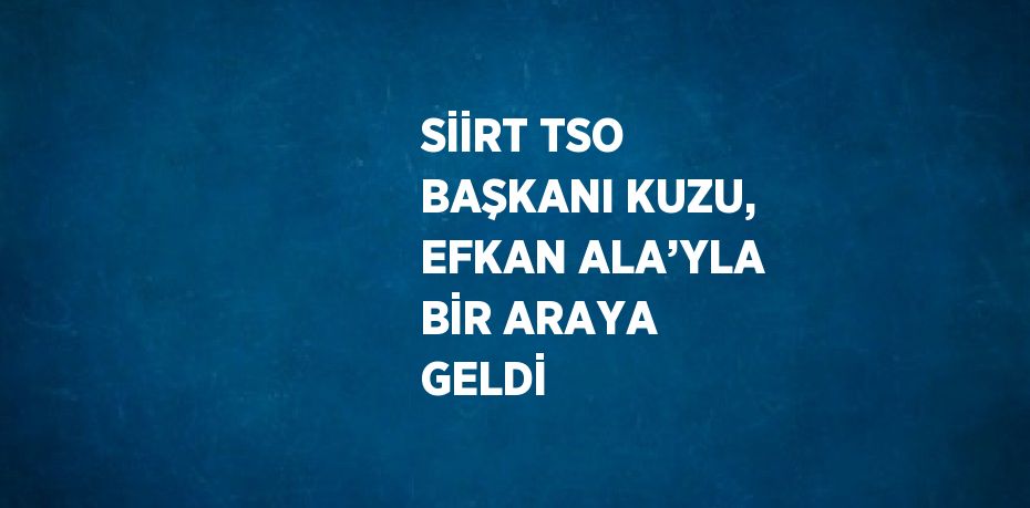 SİİRT TSO BAŞKANI KUZU, EFKAN ALA’YLA BİR ARAYA GELDİ