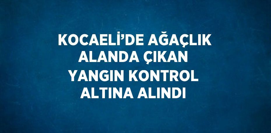 KOCAELİ’DE AĞAÇLIK ALANDA ÇIKAN YANGIN KONTROL ALTINA ALINDI