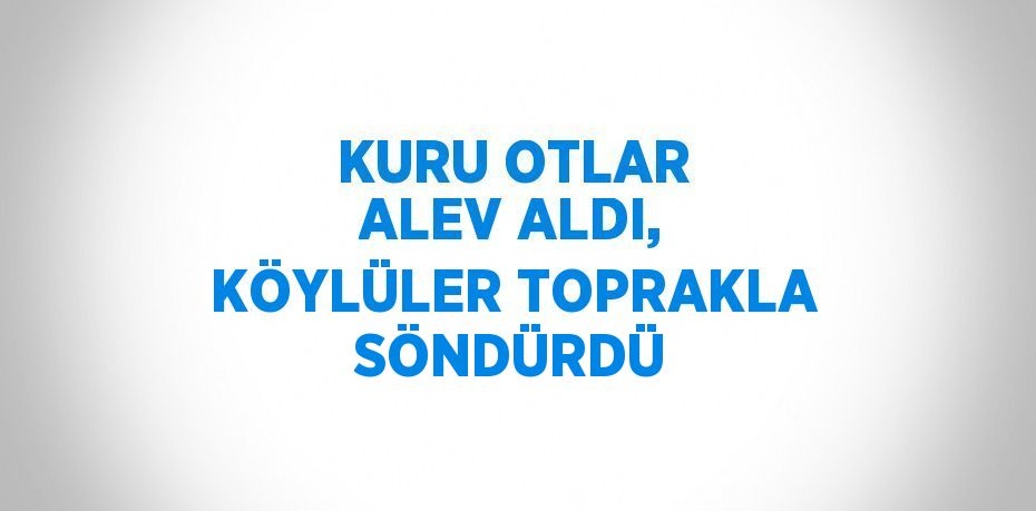 KURU OTLAR ALEV ALDI, KÖYLÜLER TOPRAKLA SÖNDÜRDÜ