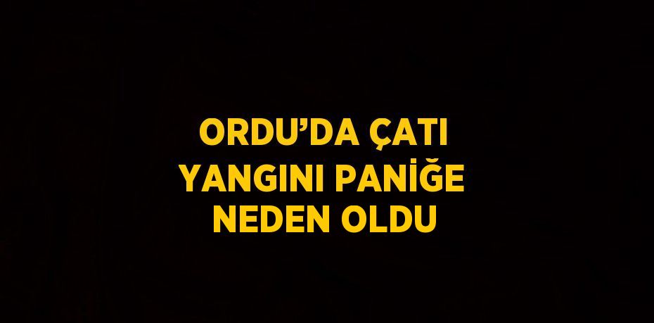 ORDU’DA ÇATI YANGINI PANİĞE NEDEN OLDU