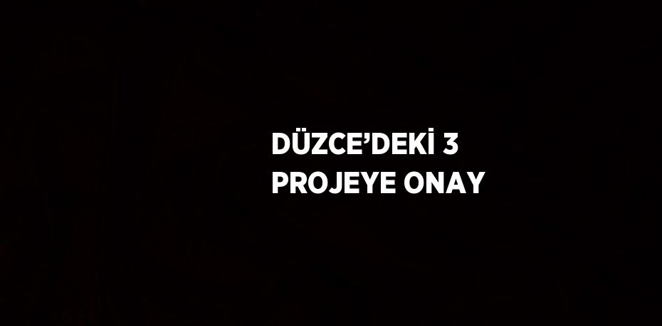 DÜZCE’DEKİ 3 PROJEYE ONAY