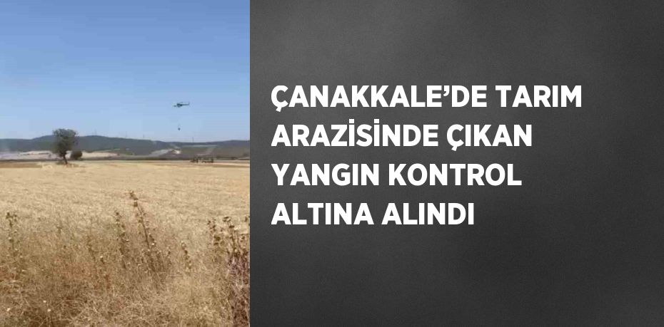 ÇANAKKALE’DE TARIM ARAZİSİNDE ÇIKAN YANGIN KONTROL ALTINA ALINDI