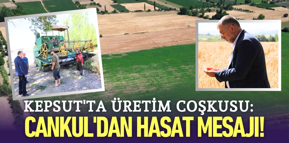 Kepsut'ta Üretim Coşkusu: Cankul'dan Hasat Mesajı!
