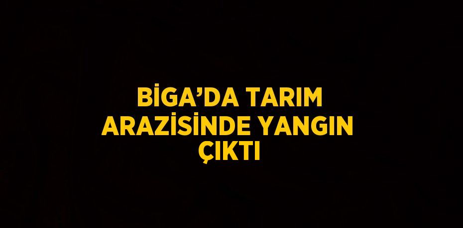 BİGA’DA TARIM ARAZİSİNDE YANGIN ÇIKTI