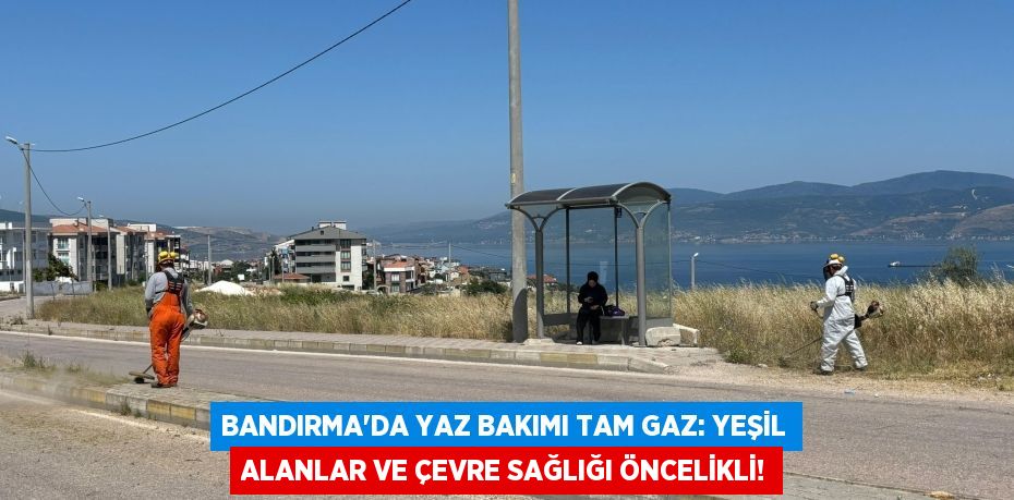 Bandırma'da Yaz Bakımı Tam Gaz: Yeşil Alanlar ve Çevre Sağlığı Öncelikli!