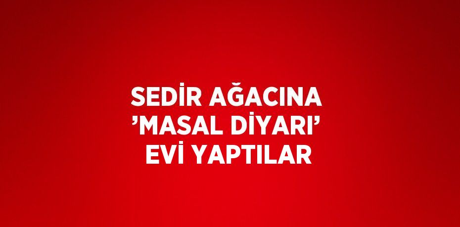 SEDİR AĞACINA ’MASAL DİYARI’ EVİ YAPTILAR
