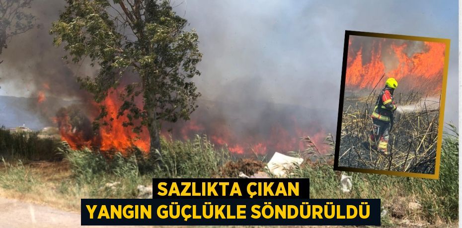 Sazlıkta çıkan yangın güçlükle söndürüldü