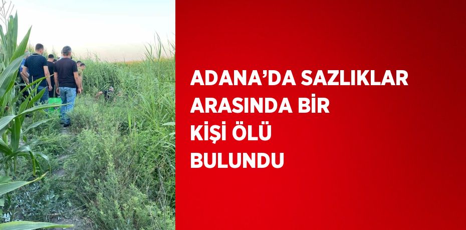 ADANA’DA SAZLIKLAR ARASINDA BİR KİŞİ ÖLÜ BULUNDU