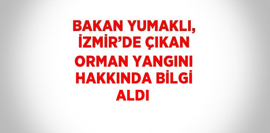 BAKAN YUMAKLI, İZMİR’DE ÇIKAN ORMAN YANGINI HAKKINDA BİLGİ ALDI
