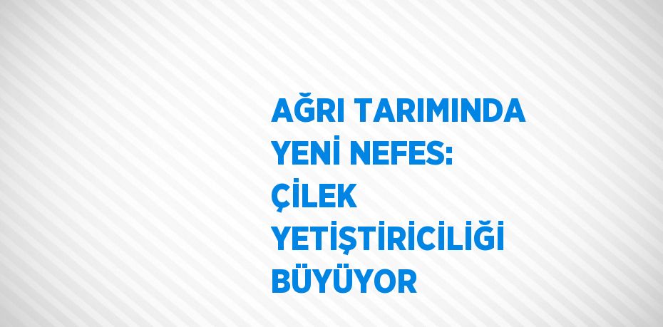 AĞRI TARIMINDA YENİ NEFES: ÇİLEK YETİŞTİRİCİLİĞİ BÜYÜYOR