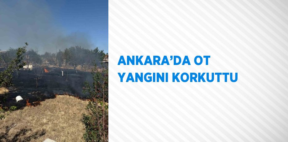 ANKARA’DA OT YANGINI KORKUTTU