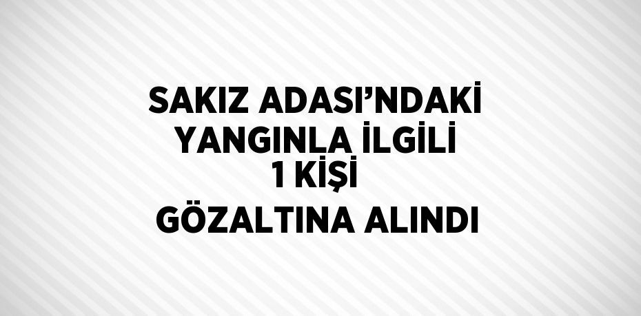 SAKIZ ADASI’NDAKİ YANGINLA İLGİLİ 1 KİŞİ GÖZALTINA ALINDI
