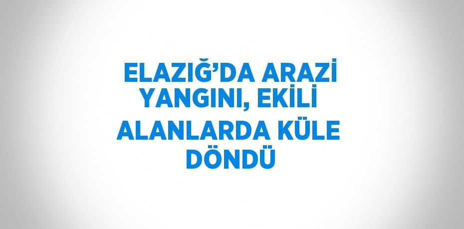 ELAZIĞ’DA ARAZİ YANGINI, EKİLİ ALANLARDA KÜLE DÖNDÜ