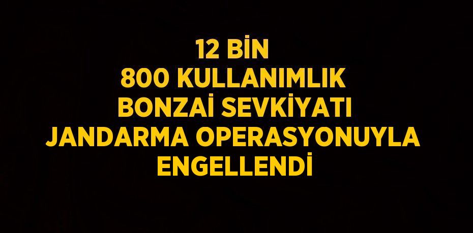 12 BİN 800 KULLANIMLIK BONZAİ SEVKİYATI JANDARMA OPERASYONUYLA ENGELLENDİ