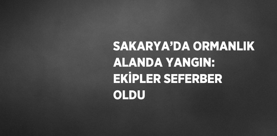 SAKARYA’DA ORMANLIK ALANDA YANGIN: EKİPLER SEFERBER OLDU