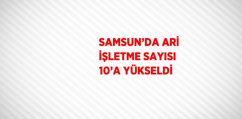 SAMSUN’DA ARİ İŞLETME SAYISI 10’A YÜKSELDİ
