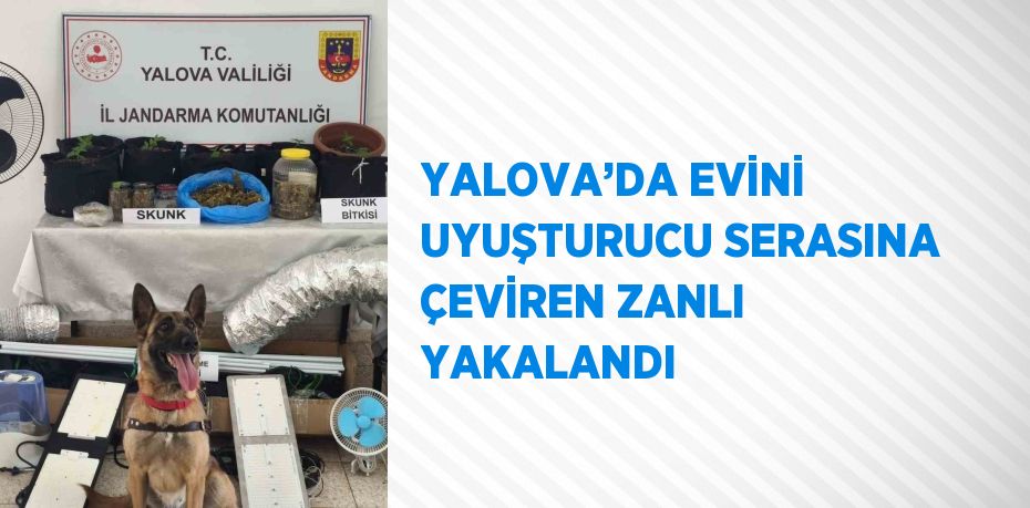 YALOVA’DA EVİNİ UYUŞTURUCU SERASINA ÇEVİREN ZANLI YAKALANDI