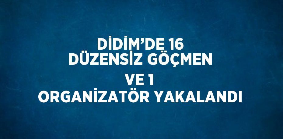 DİDİM’DE 16 DÜZENSİZ GÖÇMEN VE 1 ORGANİZATÖR YAKALANDI