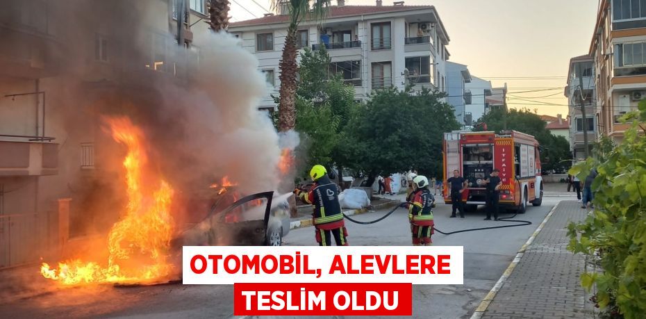 Otomobil, alevlere teslim oldu