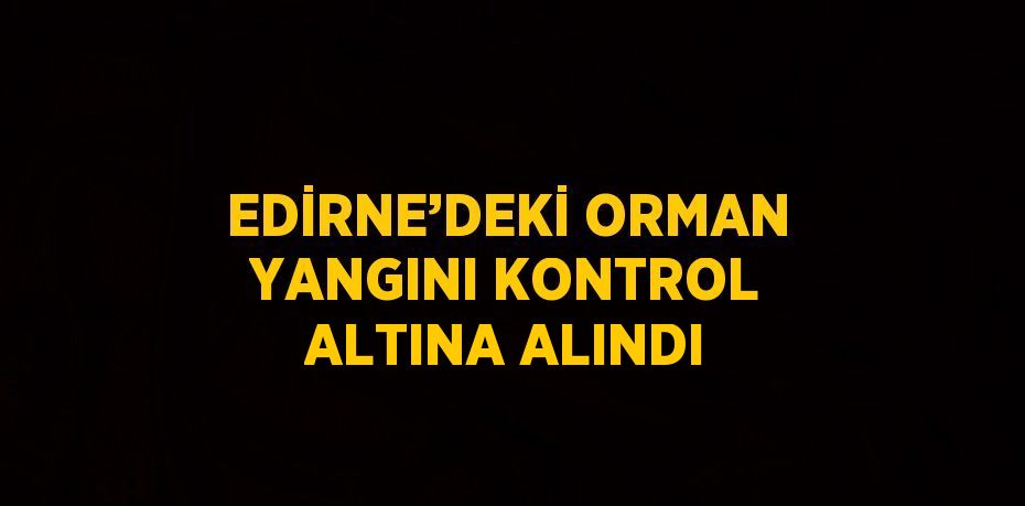 EDİRNE’DEKİ ORMAN YANGINI KONTROL ALTINA ALINDI