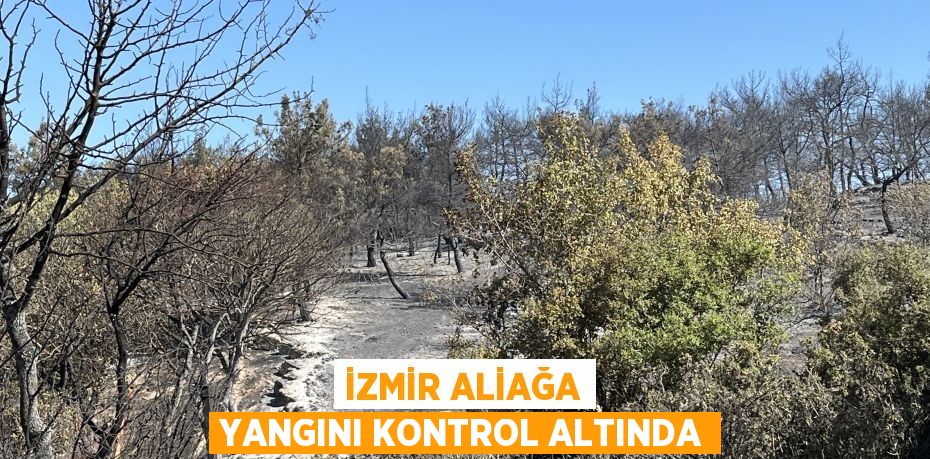 İZMİR ALİAĞA YANGINI KONTROL ALTINDA
