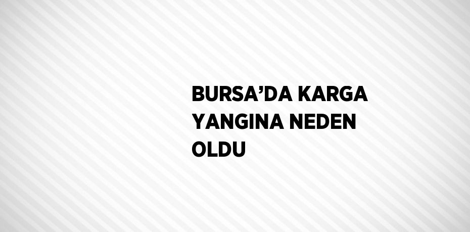 BURSA’DA KARGA YANGINA NEDEN OLDU