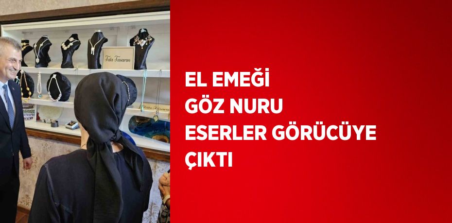 EL EMEĞİ GÖZ NURU ESERLER GÖRÜCÜYE ÇIKTI