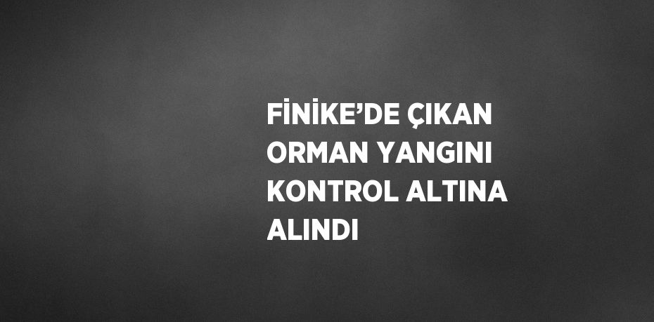 FİNİKE’DE ÇIKAN ORMAN YANGINI KONTROL ALTINA ALINDI
