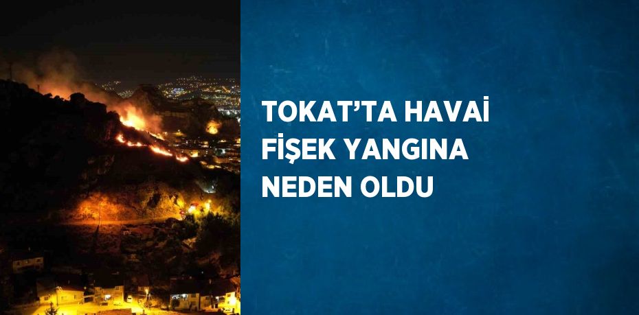 TOKAT’TA HAVAİ FİŞEK YANGINA NEDEN OLDU