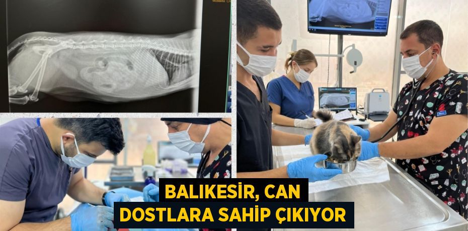 BALIKESİR, CAN DOSTLARA SAHİP ÇIKIYOR