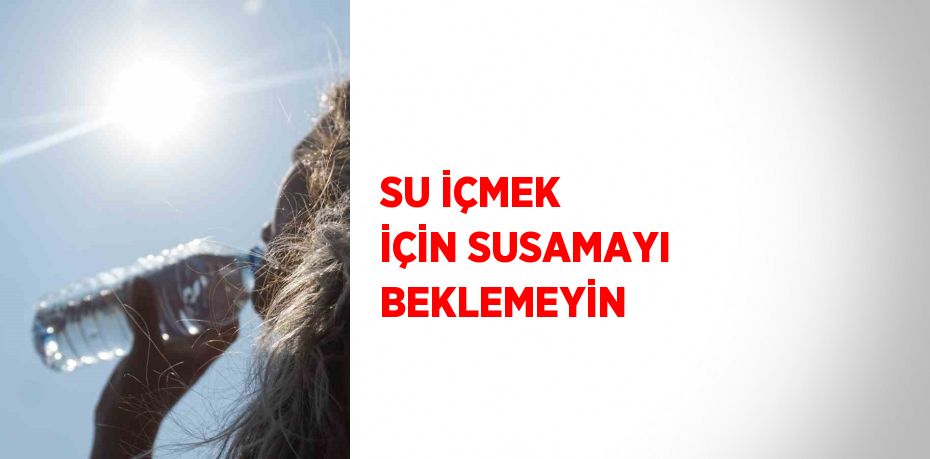 SU İÇMEK İÇİN SUSAMAYI BEKLEMEYİN