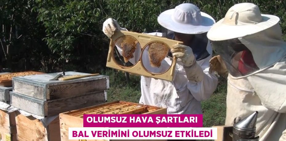 OLUMSUZ HAVA ŞARTLARI BAL VERİMİNİ OLUMSUZ ETKİLEDİ