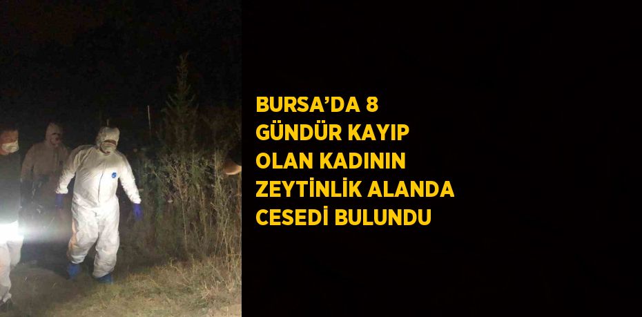 BURSA’DA 8 GÜNDÜR KAYIP OLAN KADININ ZEYTİNLİK ALANDA CESEDİ BULUNDU