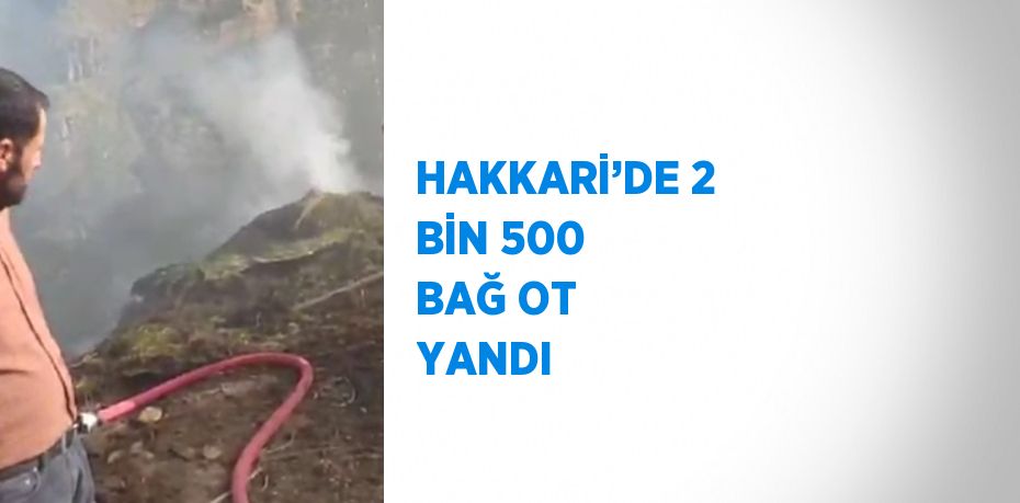 HAKKARİ’DE 2 BİN 500 BAĞ OT YANDI