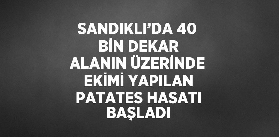 SANDIKLI’DA 40 BİN DEKAR ALANIN ÜZERİNDE EKİMİ YAPILAN PATATES HASATI BAŞLADI