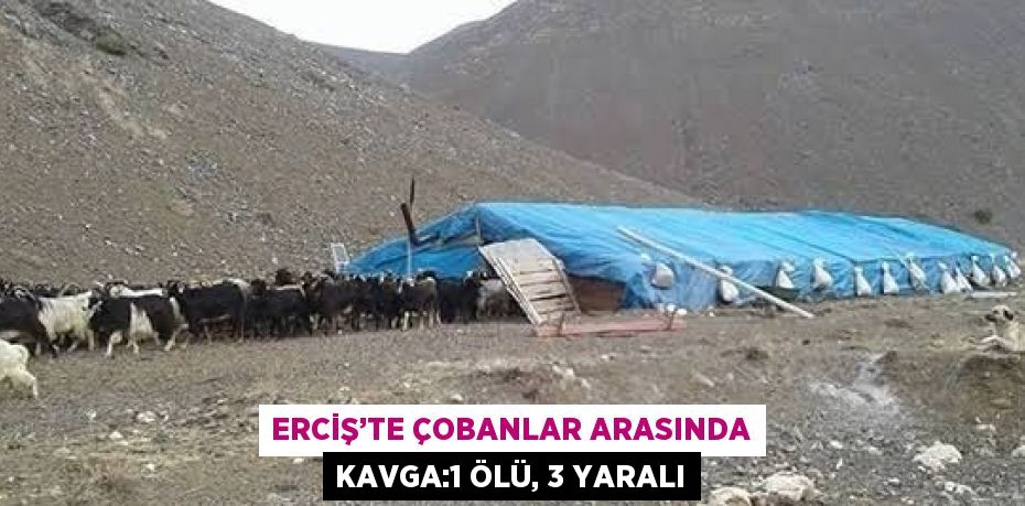 ERCİŞ’TE ÇOBANLAR ARASINDA KAVGA:1 ÖLÜ, 3 YARALI