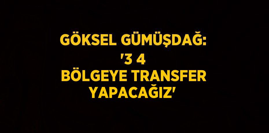 GÖKSEL GÜMÜŞDAĞ: '3 4 BÖLGEYE TRANSFER YAPACAĞIZ'