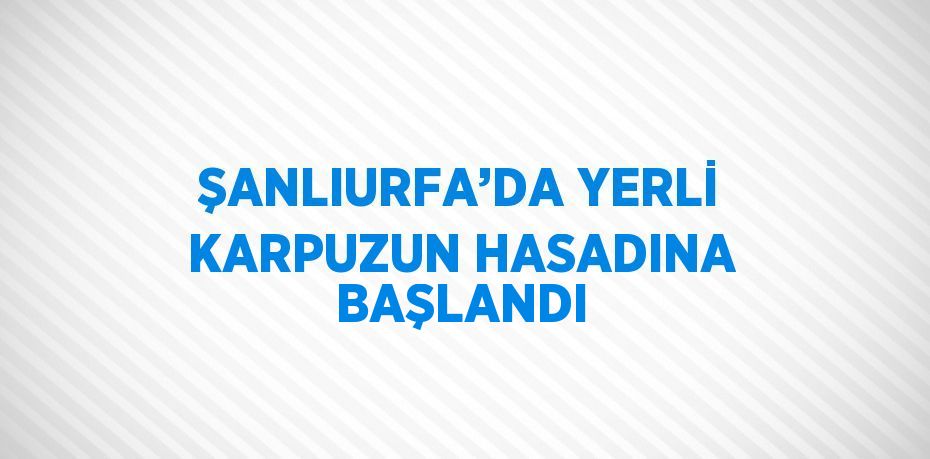 ŞANLIURFA’DA YERLİ KARPUZUN HASADINA BAŞLANDI