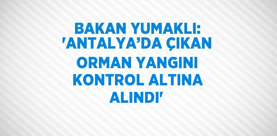 BAKAN YUMAKLI: 'ANTALYA’DA ÇIKAN ORMAN YANGINI KONTROL ALTINA ALINDI'