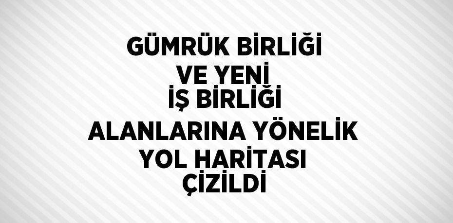 GÜMRÜK BİRLİĞİ VE YENİ İŞ BİRLİĞİ ALANLARINA YÖNELİK YOL HARİTASI ÇİZİLDİ