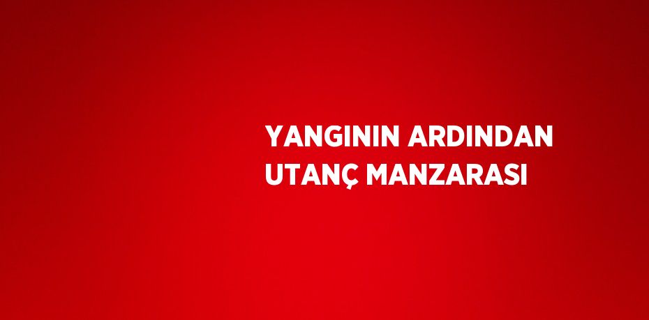 YANGININ ARDINDAN UTANÇ MANZARASI