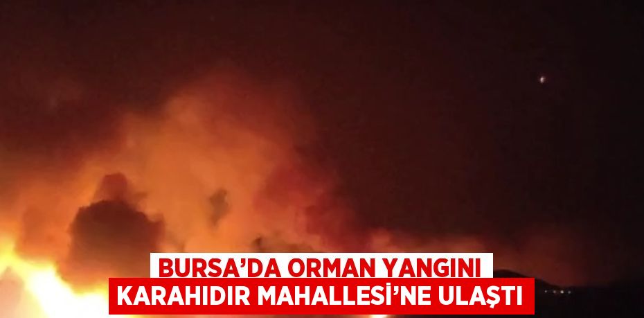 BURSA’DA ORMAN YANGINI KARAHIDIR MAHALLESİ’NE ULAŞTI