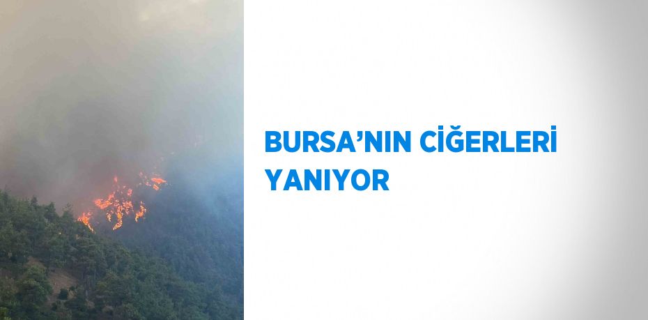 BURSA’NIN CİĞERLERİ YANIYOR