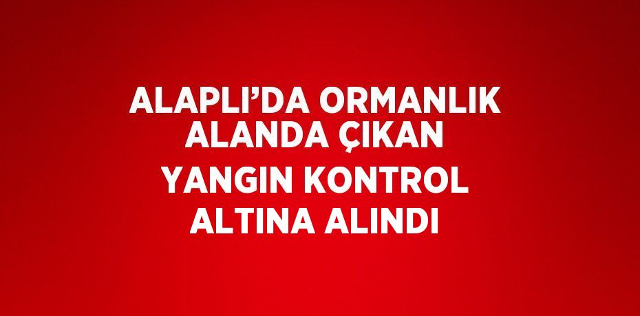 ALAPLI’DA ORMANLIK ALANDA ÇIKAN YANGIN KONTROL ALTINA ALINDI