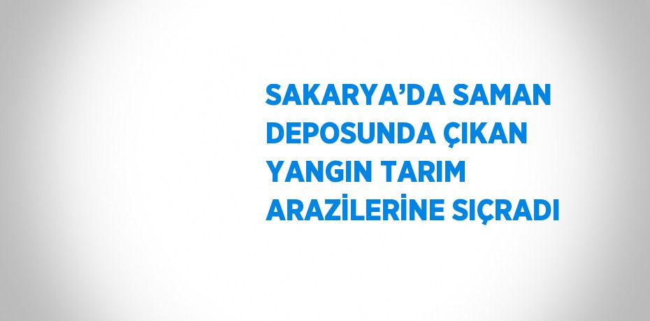 SAKARYA’DA SAMAN DEPOSUNDA ÇIKAN YANGIN TARIM ARAZİLERİNE SIÇRADI
