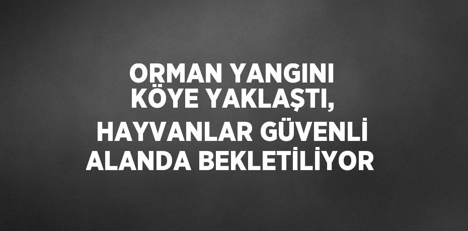 ORMAN YANGINI KÖYE YAKLAŞTI, HAYVANLAR GÜVENLİ ALANDA BEKLETİLİYOR