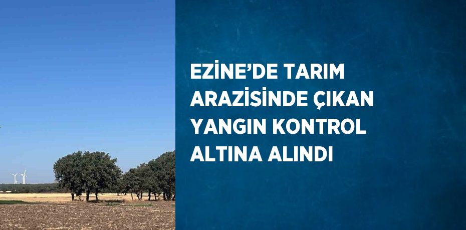 EZİNE’DE TARIM ARAZİSİNDE ÇIKAN YANGIN KONTROL ALTINA ALINDI