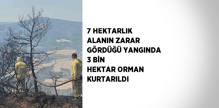 7 HEKTARLIK ALANIN ZARAR GÖRDÜĞÜ YANGINDA 3 BİN HEKTAR ORMAN KURTARILDI